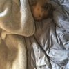 Kevin 