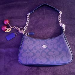 Coach Teri Shoulder Bag