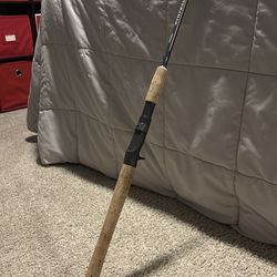 Shimano Teramar casting rod