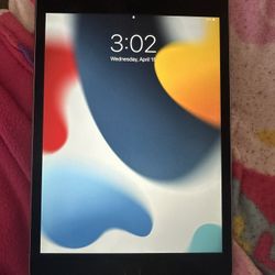 iPad Mini 4  WiFi Only 