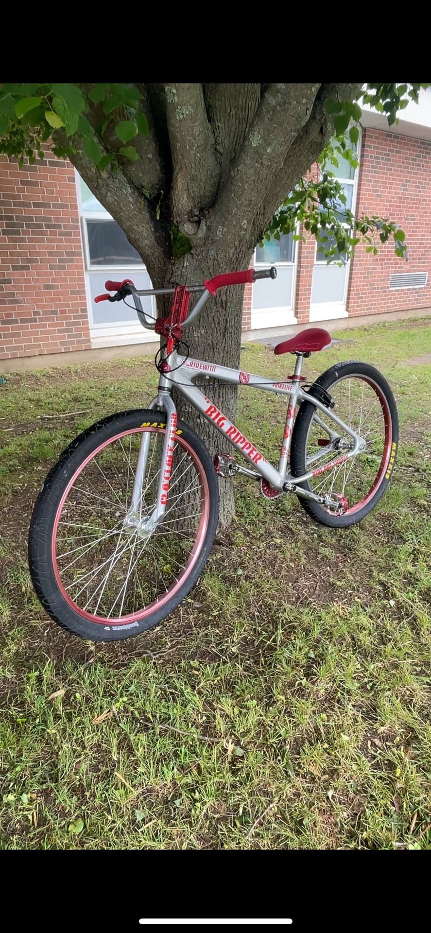 2017 Big Ripper 29"