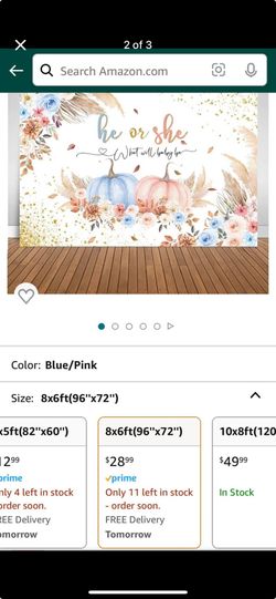 Gender reveal pumpkin backdrop