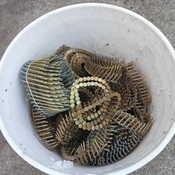 Large Bucket Of Coil Nails