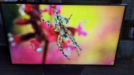 LG 55LN 5100