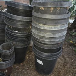 1 Gallon And 5 Gallons And 15 Gallons Planting Buckets 