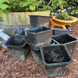 Free Plant Pots - Please Read Description