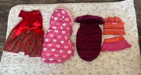 Dog Clothes 🐶