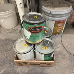 Dunn Edward’s Paint