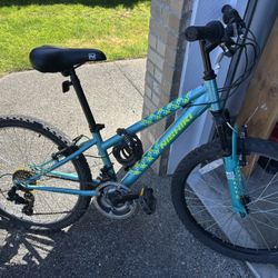 Mountain Bike
