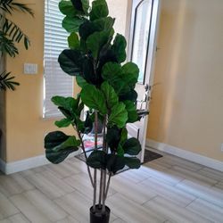 Fake Plant About 6 Feet Tall