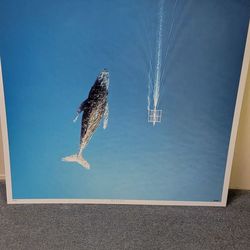 Whale and horse posters numbered prints