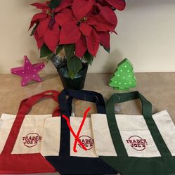 Trader Joes Mini Tote