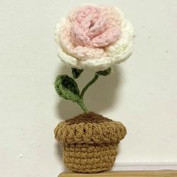 Handwoven Mini Potted Flower