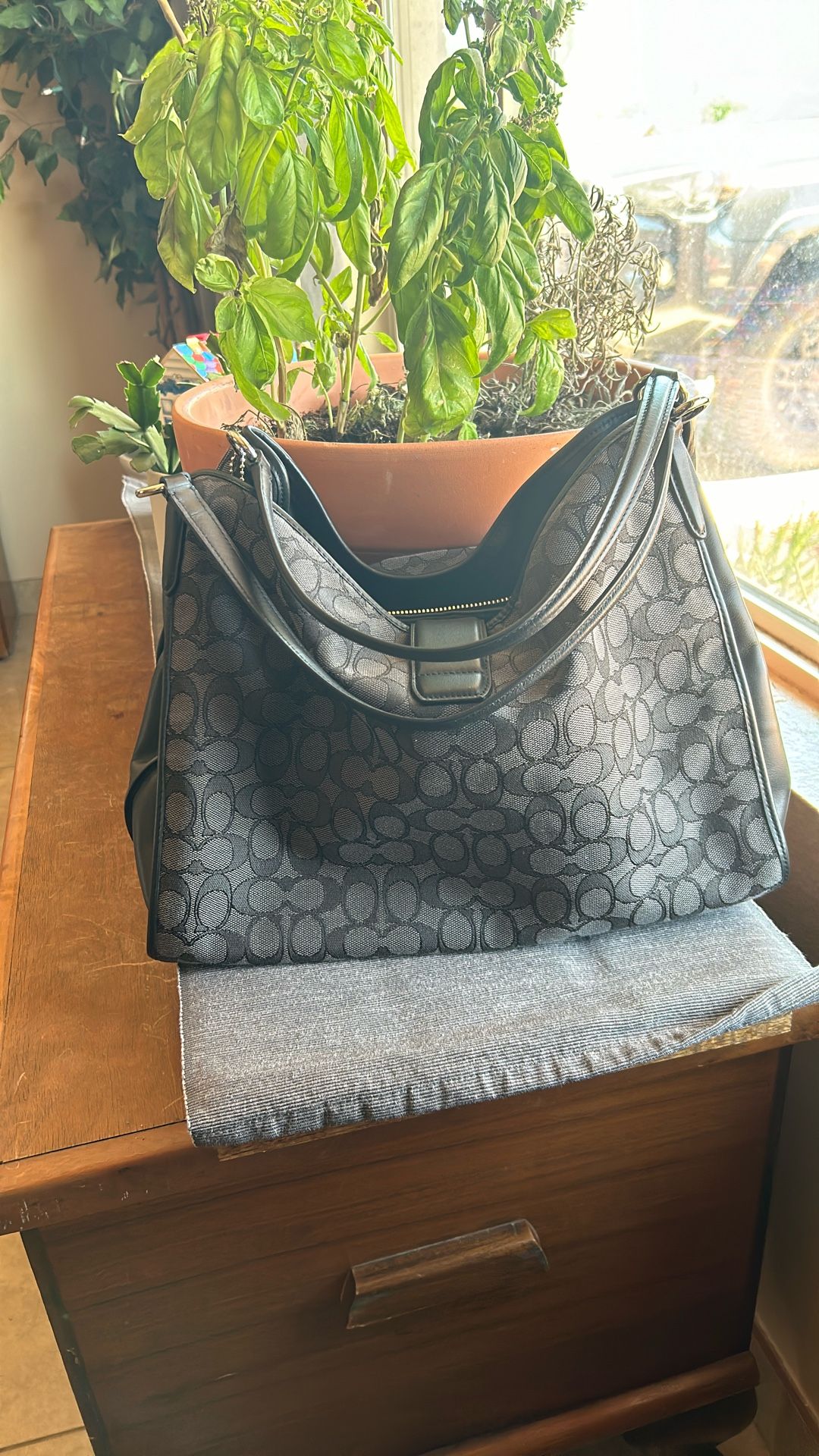 Brand New Coach Bag
