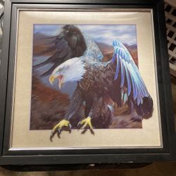 Bald Eagle Frame 