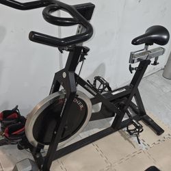 Schwinn Excercise Bike 