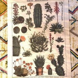 Large Cactus Tapestry 