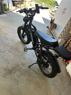 Electric bike