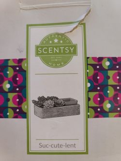 succulent arrangements diy DIY Pink 2