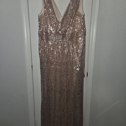 Plus 18W sequin dress rose Apricot color