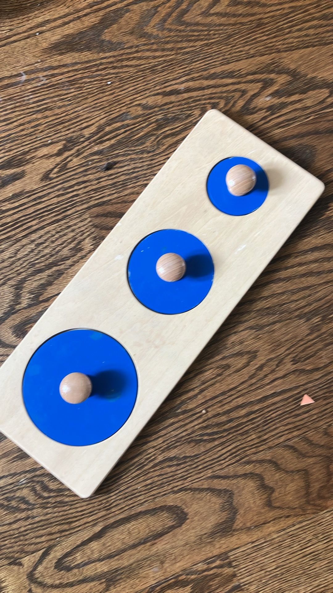 Shape Toddler Puzzle