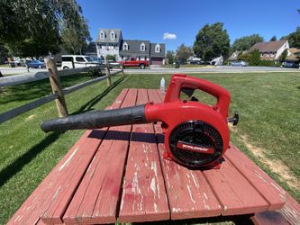 Murray Leaf Blower 