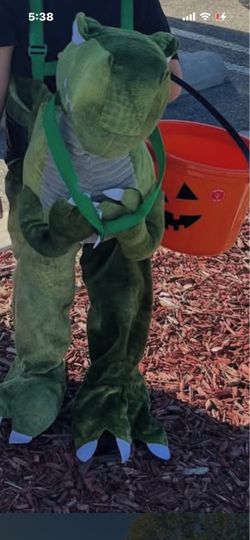 Boy’s Dinosaur costume 3t-4t