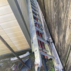 5 ladders- $175