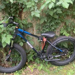 Big Bike Read description 