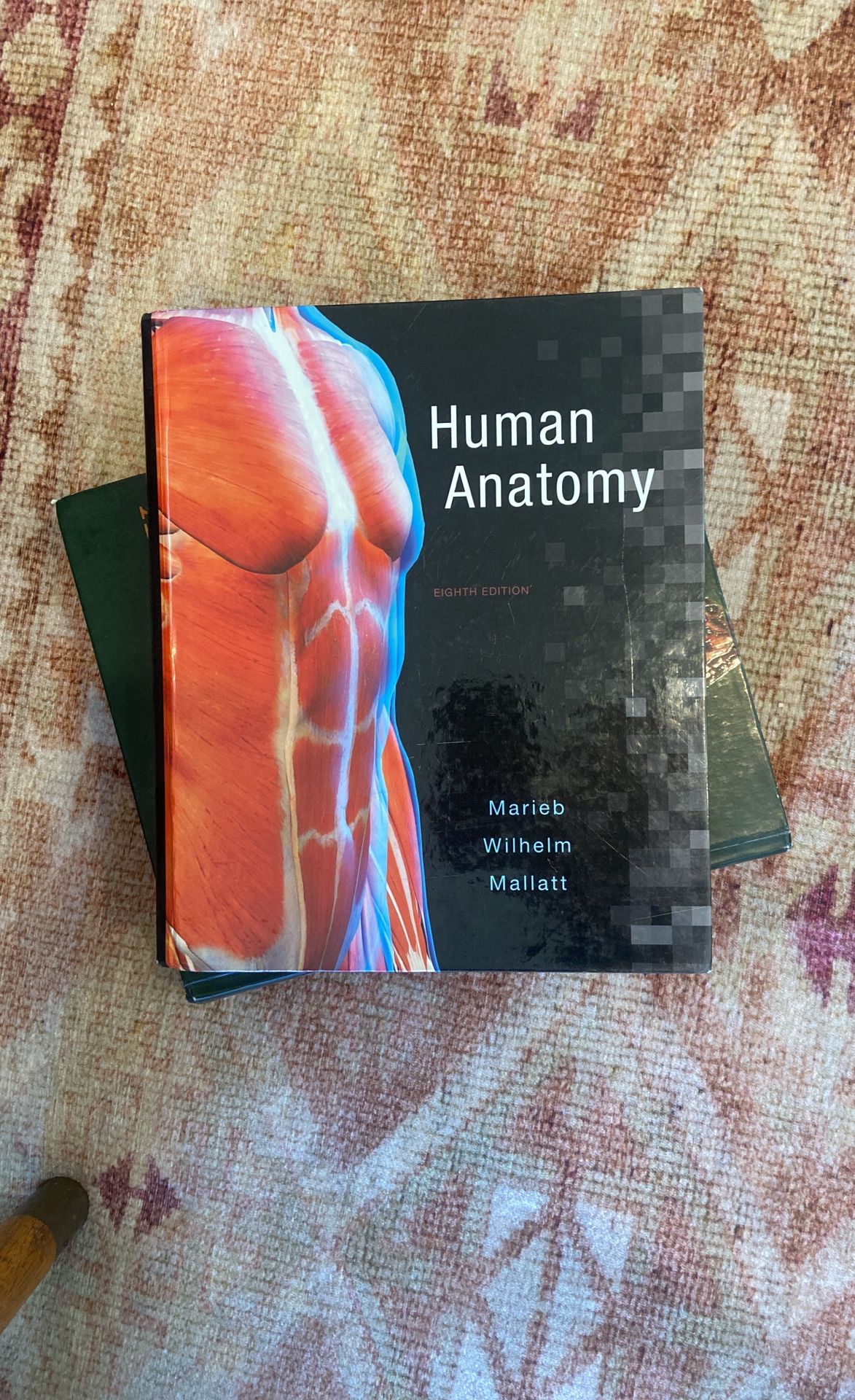 Human Anatomy Textbook (Marieb Wilhelmina Mallatt)