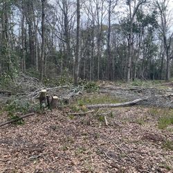 Oak and Pecan Fire Wood  808 Magnolia Rd. Mobile Ala 36606