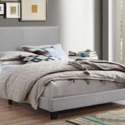 Erin Grey Nailhead Queen Bed
