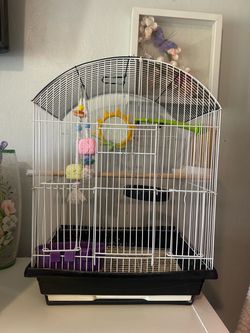 Parakeet Bird Cage