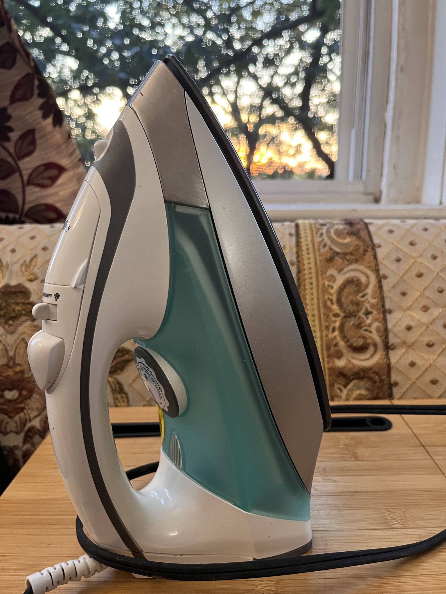 Decen Steam Iron, 1700 W, Lightly Used, Vertical Steam