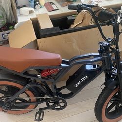 Electric Bike