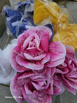 Floral Brand New