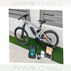 nearly brother High Tech E Bike Clean Energy Commute Choice