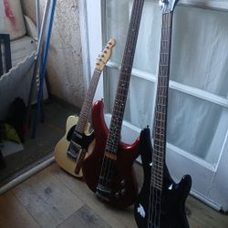 🎸 