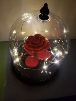Flower Dome