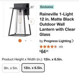 Raineville 1-Light 12 in. Matte Black Outdoor Wall Lantern with Clear Glass