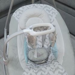 Ingenuity Simplecomfort 2in1 Swing
