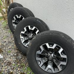 2020 Toyota Tacoma Stock wheels