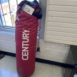 Everlast Century Punching Bag 🥊