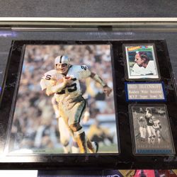 1977 Fred Biletnikoff Raiders Framed Photo Plaque w/Card 💵  💳  💵  Cash and Card Accepted