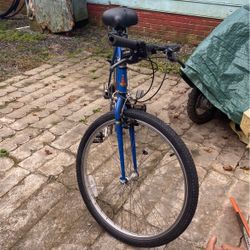 Raleigh Pointe Bike