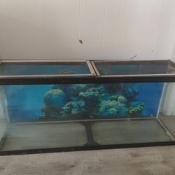 55 Gallon  Aquarium Tank