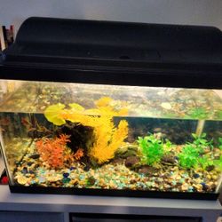 Fish tank Aquarium 10-15 Gallons Fishtank