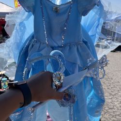 Cinderella Costume