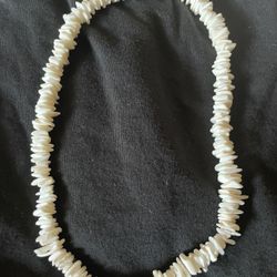 New Shell Necklace