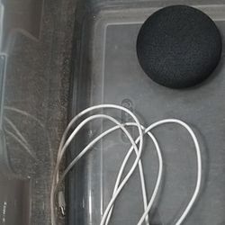 Google Nest Mini